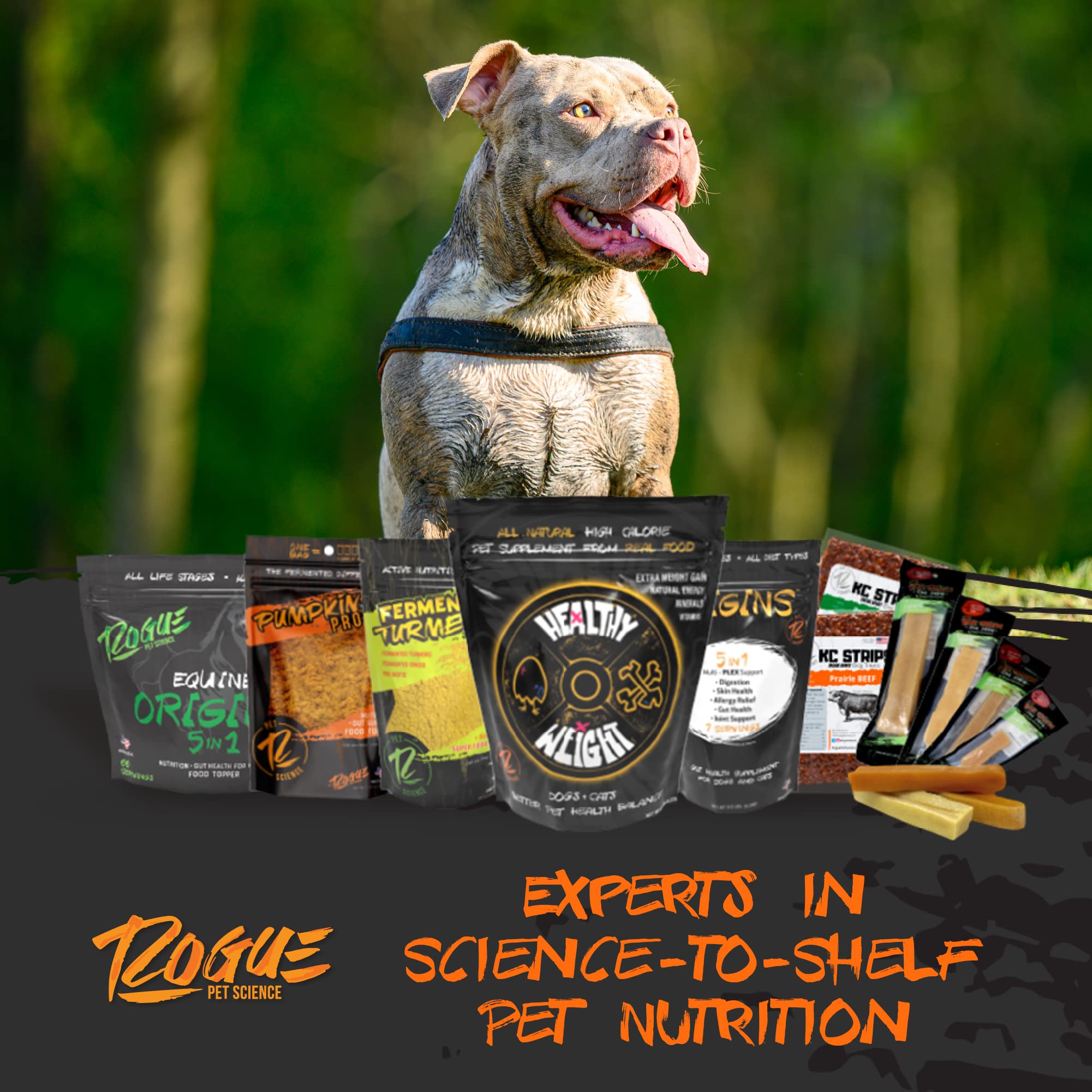 high calorie dog supplements