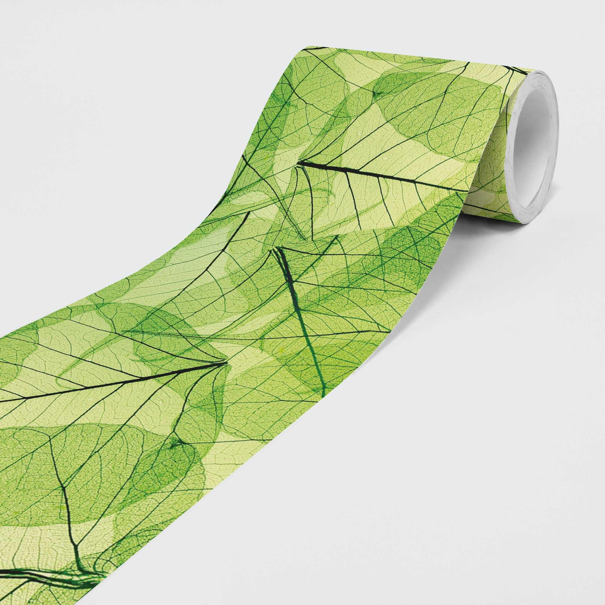Dimex Line Leaf Veins Dimex Wallpaper Border Smooth Self Adhesive Non-Woven Natural Style 5M X 15Cm