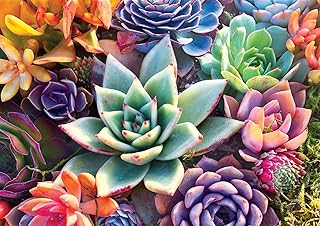Buffalo Games - Simple Succulents - 300 Large Piece Jigsaw Puzzle for Adults Challenging Puzzle Perfect for Game Nights - 300 Large Piece Finished Puzzle Size is 21.25 x 15.00