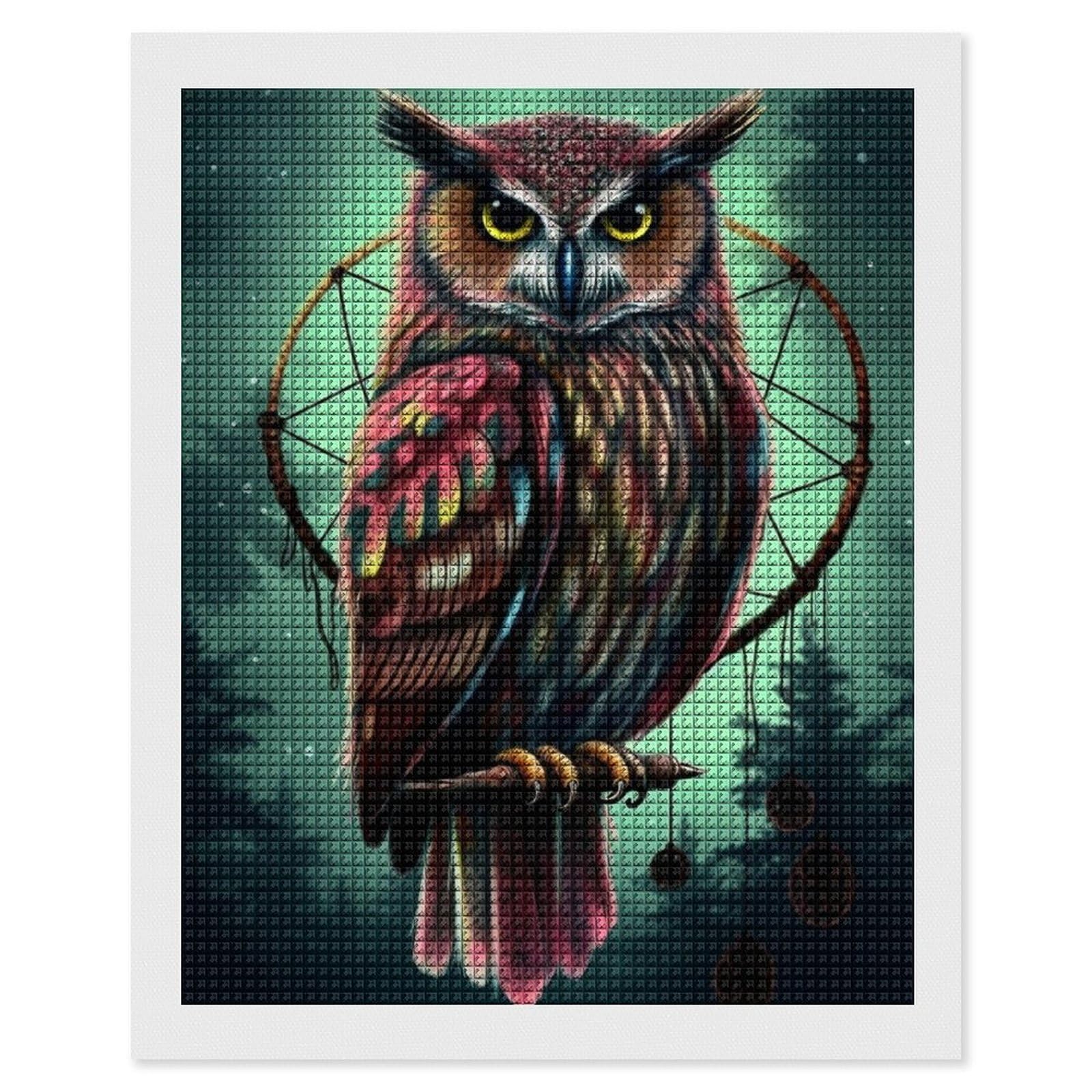 Owl Diamond Art Kits for Adults, DIY 5D Diamonds Painting Kits for Beginner, Round Full Drill Diamond Dots Painting, 16"x20" Diamonds Pictures Gem Art and Crafts Wall Decor