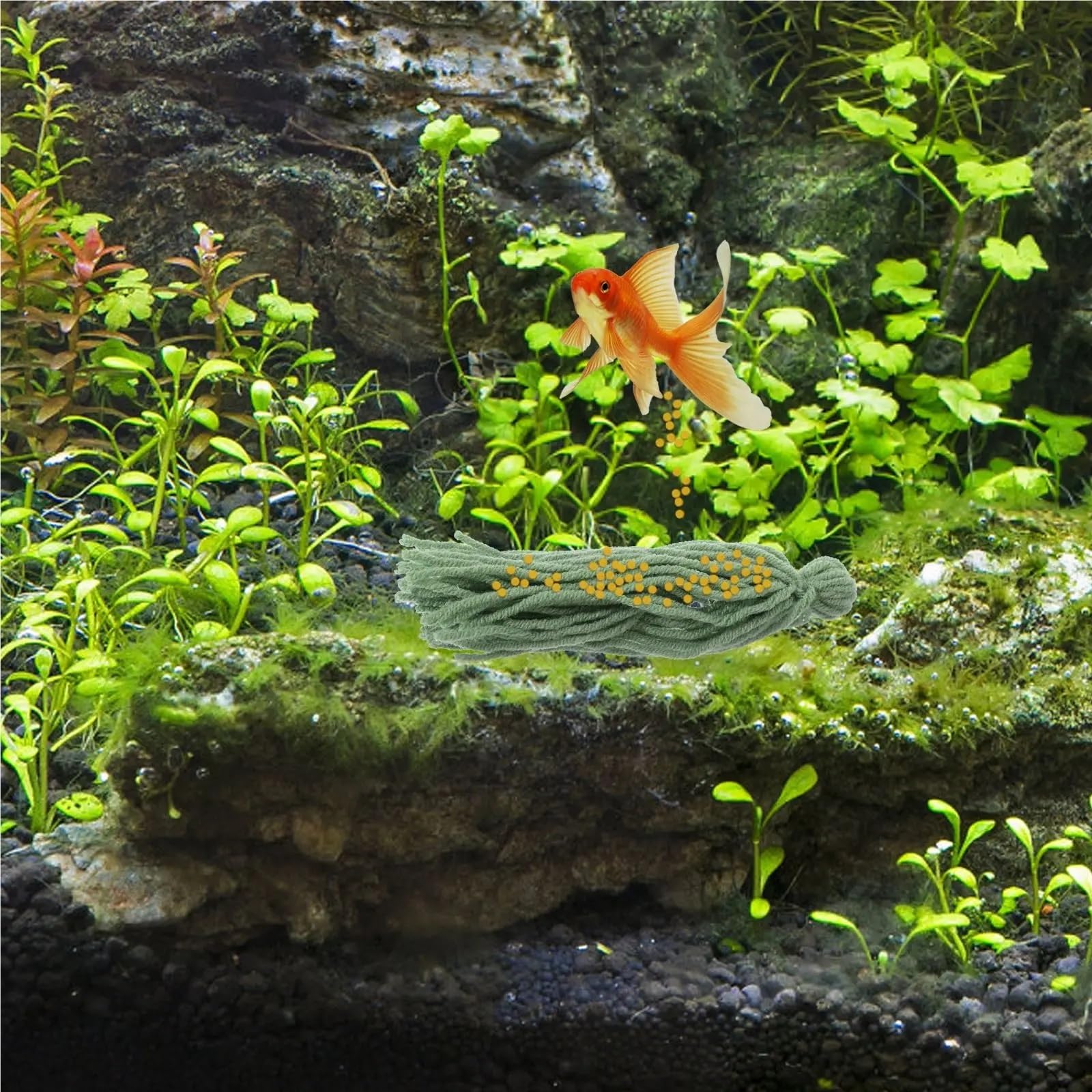 Lot de 40 serpillères pour ponte de poissons – Outil en fil d'écloserie d'aquarium, seau décoratif et cachette de race