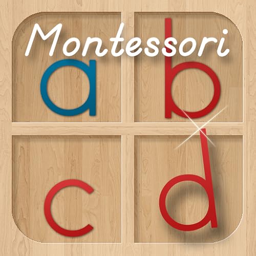 Montessori Movable Alphabet - Build Words and Phrases - A Montessori Approach to Language