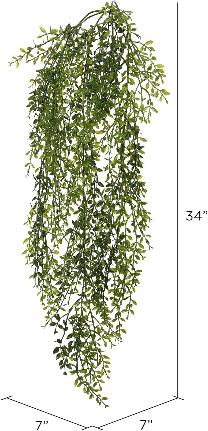 Vickerman Everyday 34" Artificial Green Lemon Beauty Leaf Vine - Faux Indoor Plant Bush - Greenery for Home Or Office Decor - Maintenance Free - Lush and Vibrant