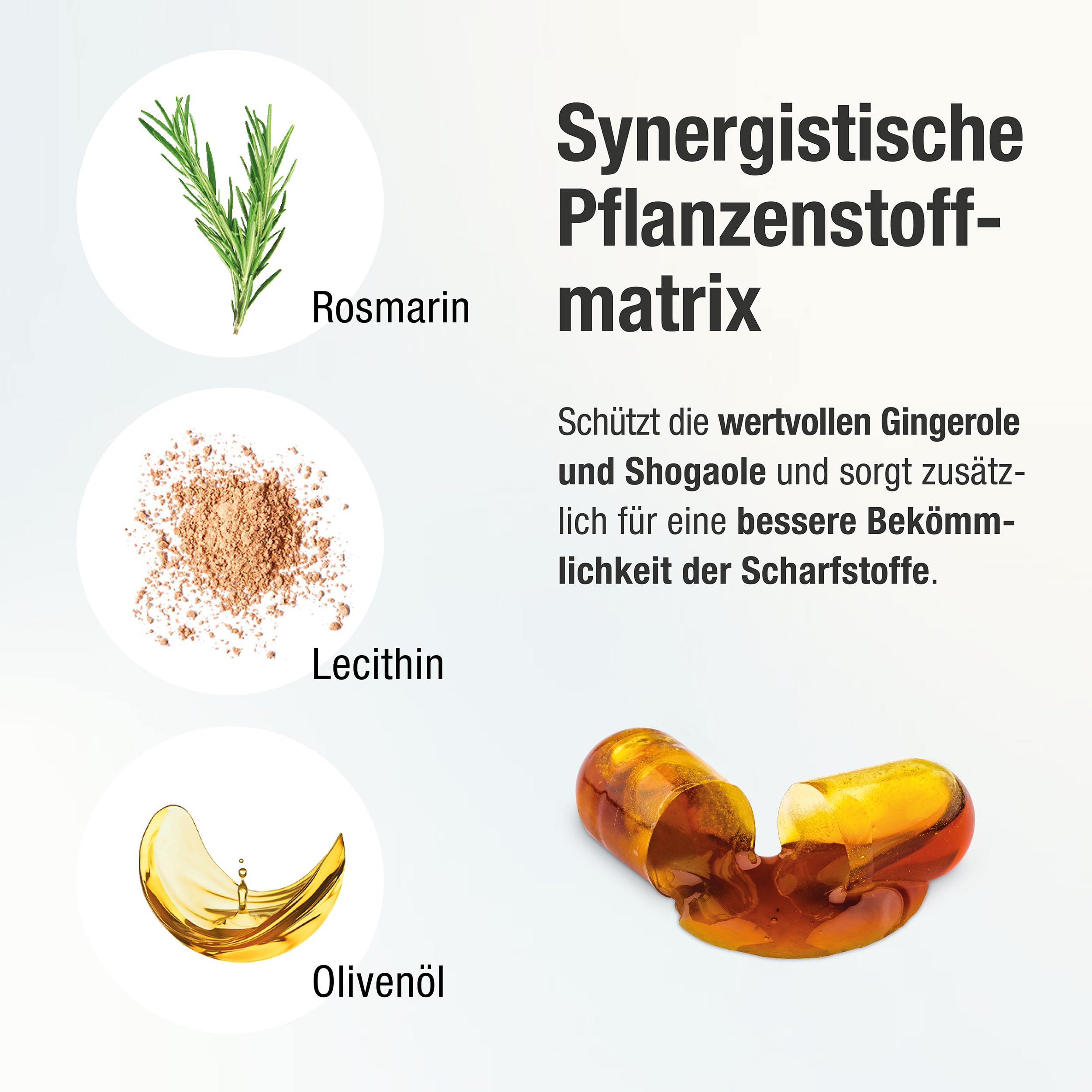 Stärkste Bio Ingwer Kapseln - 22.000mg Ingwerpulver pro Tagesdosis - höchste Gingerol & Shogaol Werte - 2 Kapseln Gingerin PLUS liefern den gleichen Ingwer Gehalt wie 33 andere Ingwertabletten