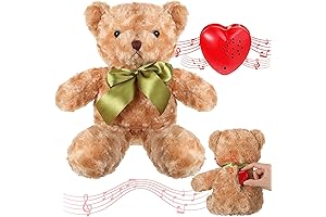 Hungdao Bear Stuffed Animals with Voice Recorder Set for Kids