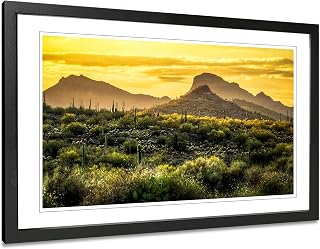 Arizona Photography Print. Sonoran Desert Wall Art.