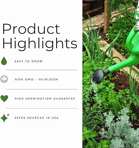 Miniatura 5 de Crisphead Iceberg Semillas de lechuga para plantar, más de 950 semillas para cultivar en interiores o exteriores, sin OMG, reliquia Woods Creek Seeds