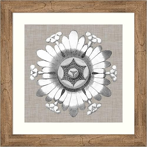 Miniatura 6 de Amanti Art Vision Studio - Impresión artística enmarcada de 36 x 36 pulgadas, diseño de roseta neutra V por Vision Studio, arte de pared de flores,