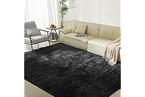 A Touch of Plush Charm: Ultra Soft Black Shag Area Rug