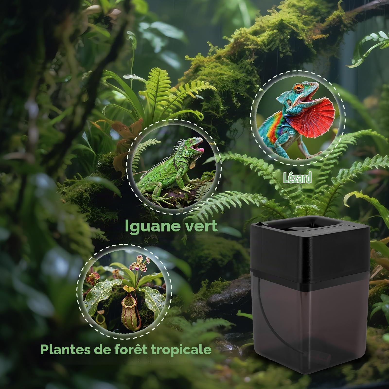 BAOSHISHAN Système de brumisation humidificateur pour Reptiles