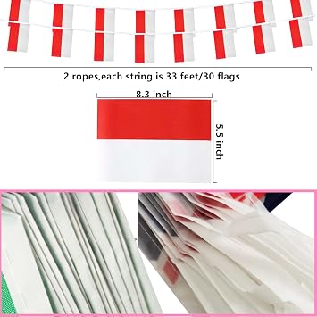 Indonesia Indonesian String Flag Pennant Banner, Small Mini Indonesia Indonesian Bunting Banner National Country Decoration for School, Party, Patriotic Festival, 66 Feet 60 Flags