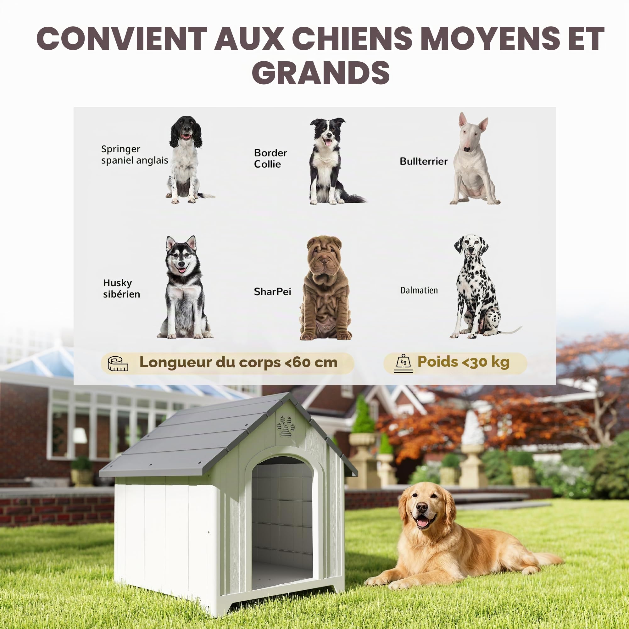 PawHut Abri en Plastique pour Chien/Chiot, int/ext, Plancher surélevé