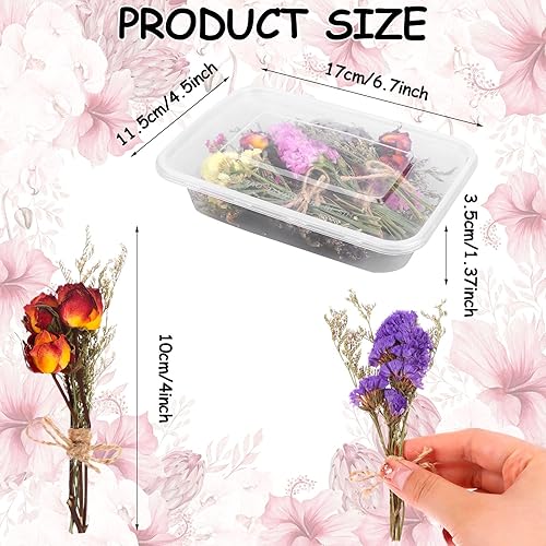 Miniatura 2 de 20 ramos de flores naturales con texto en inglés "Don't Forget Me", ramo de flores secas Myosotis Sylvatica, hojas secas de lagurus, paquete de