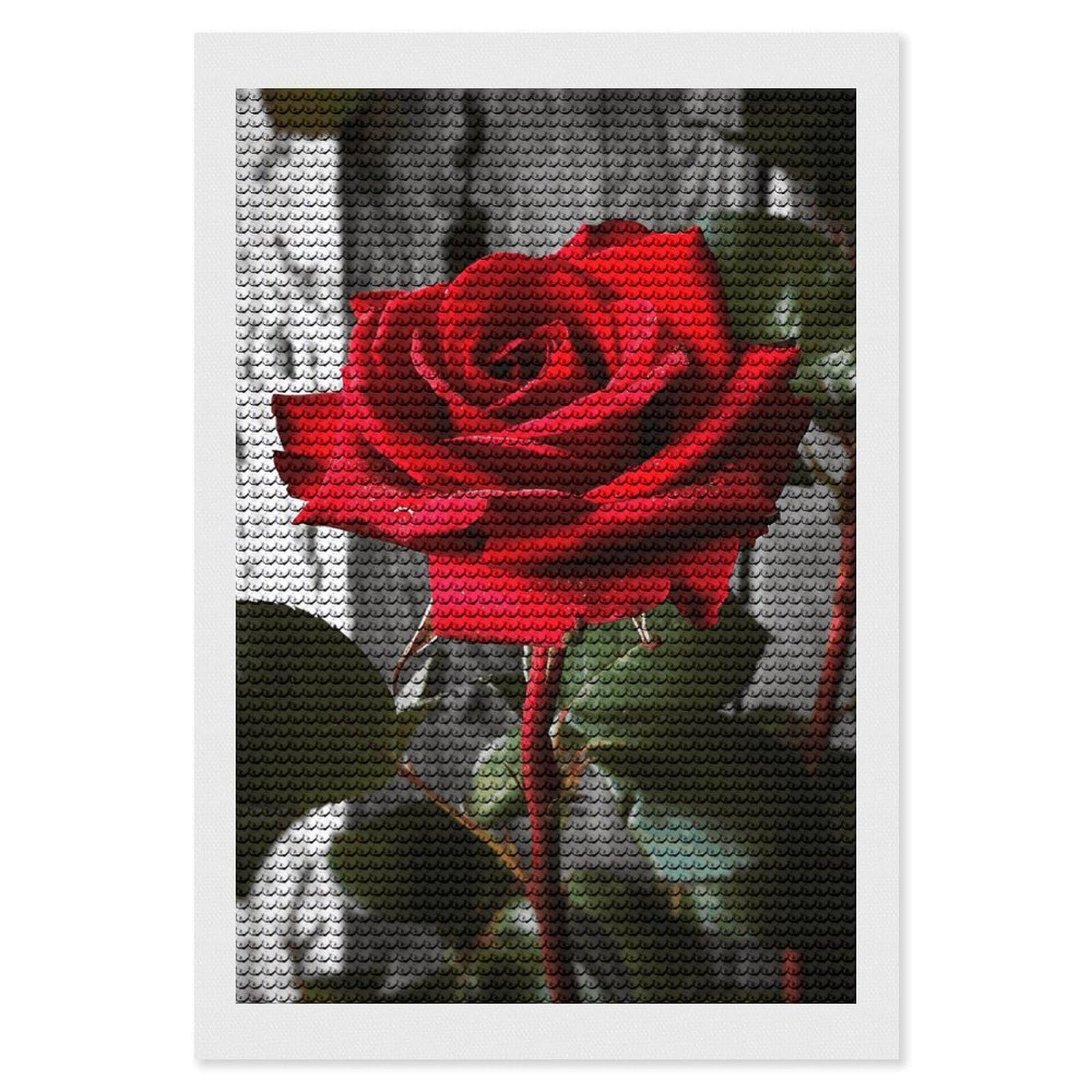 NONHAI Diamond Painting Kits for Adults - DIY Diamond Art Kits for Beginners - Full 5D Paint Drill Diamond Dots Paintings- Blooming Red Rose Diamonds Pictures Gem Art and Craft Wall Decor 8"x12"