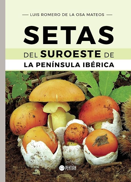 Portada de Setas del Suroeste de la Península Ibérica