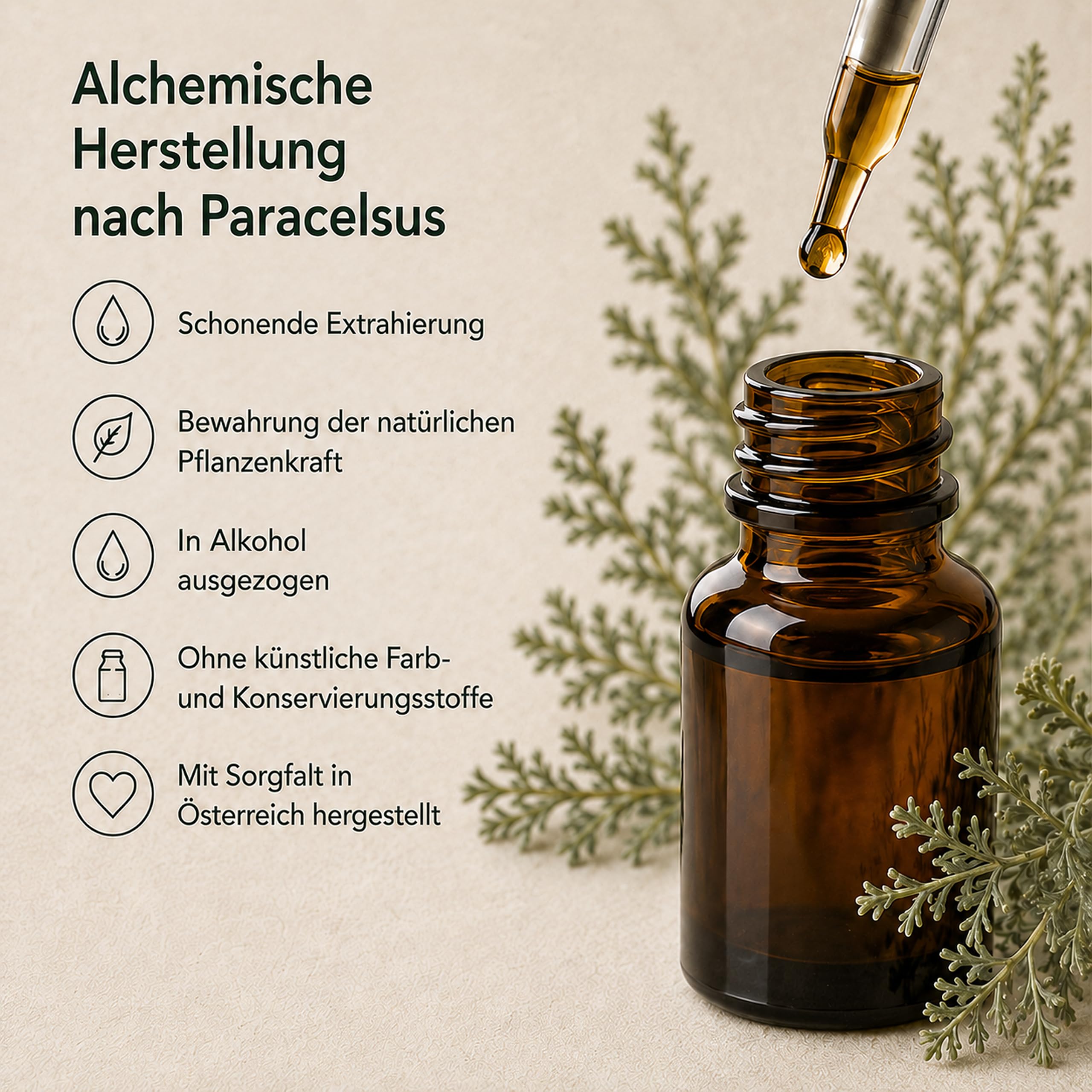 PARAMIX – Wermut, Nelke & Schwarznuss Kräutertinktur Komplex | 3x 50 ml