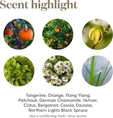 Vista 140 de Aceite esencial de franquincienso, 0.17 onzas líquidas, de Young Living Essential Oils