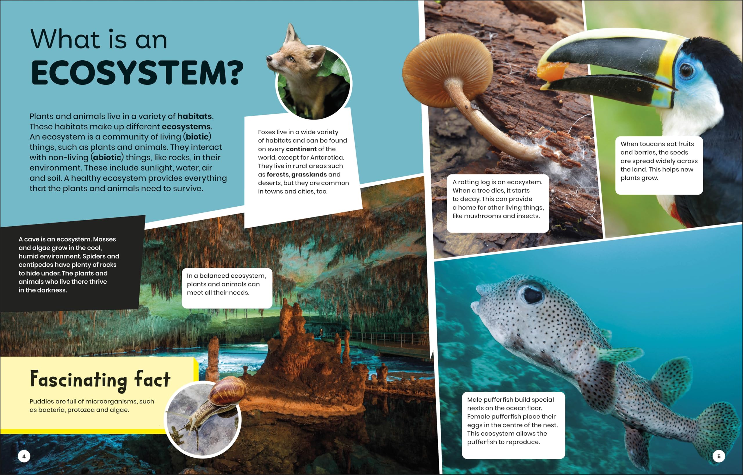 DK Super Planet Essential Ecosystems