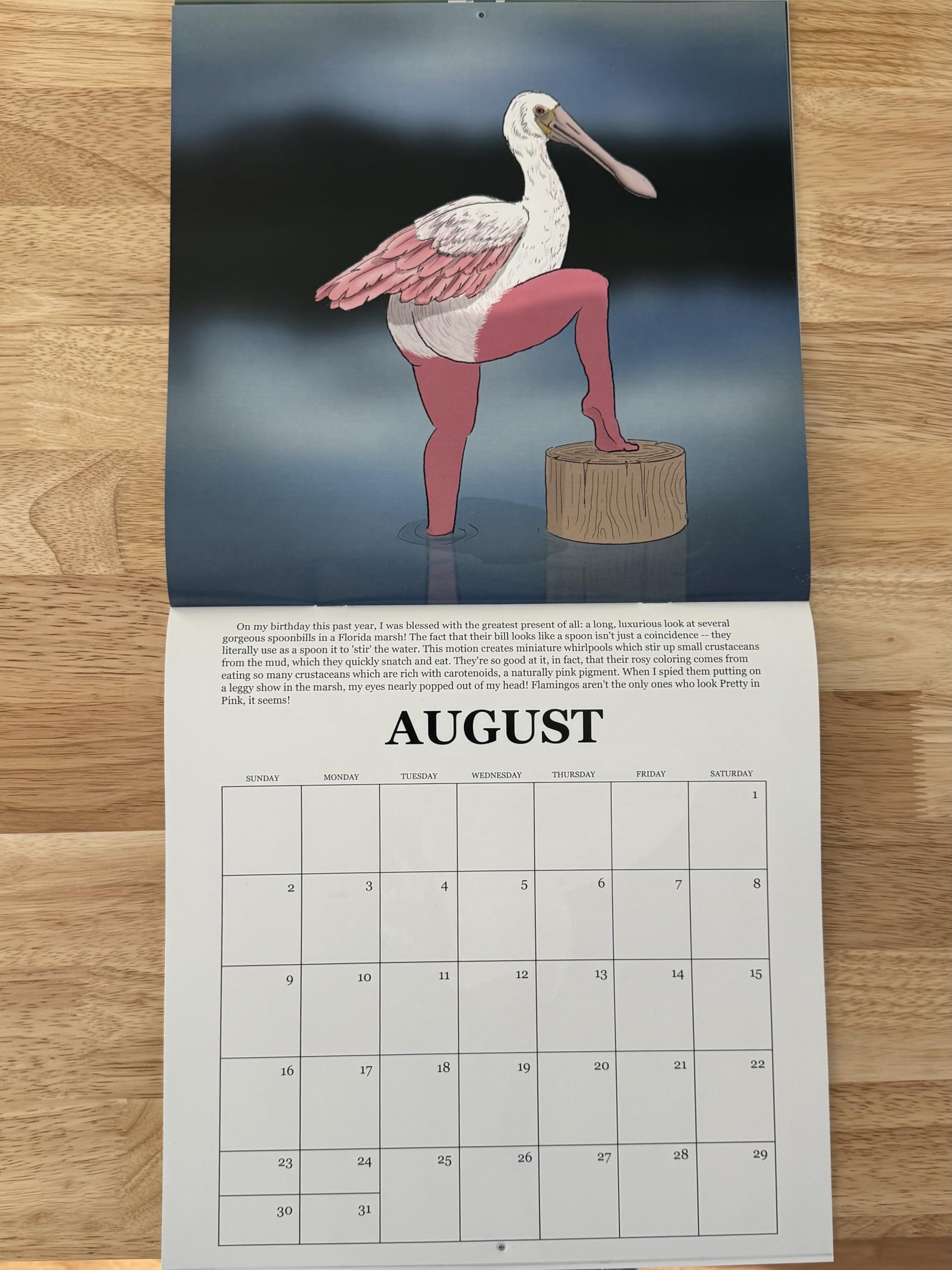 Amazon.com: 2026 Calendar of Extremely Accurate Birds by Tommy