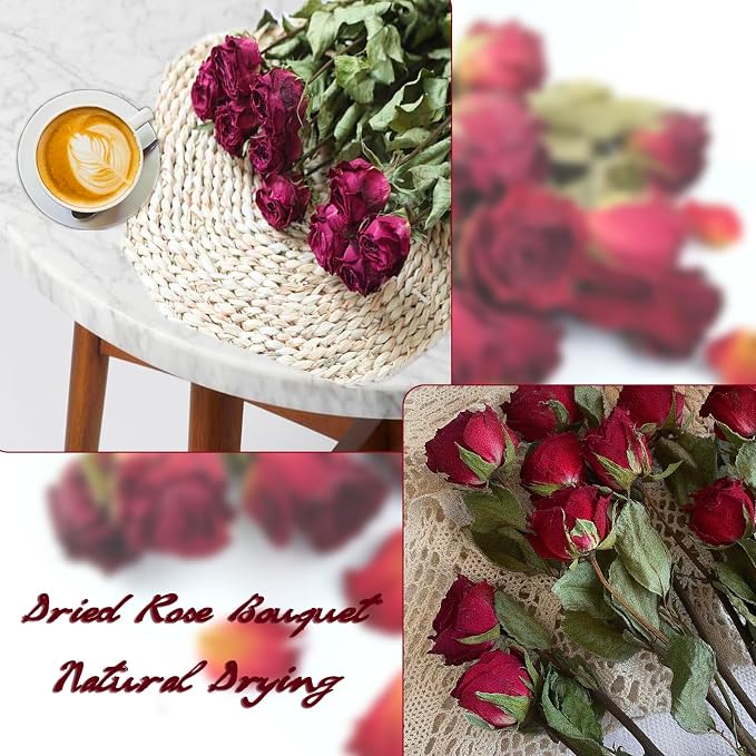 Ramo natural de flores secas TooGet 10 rosas rojas miniatura 5