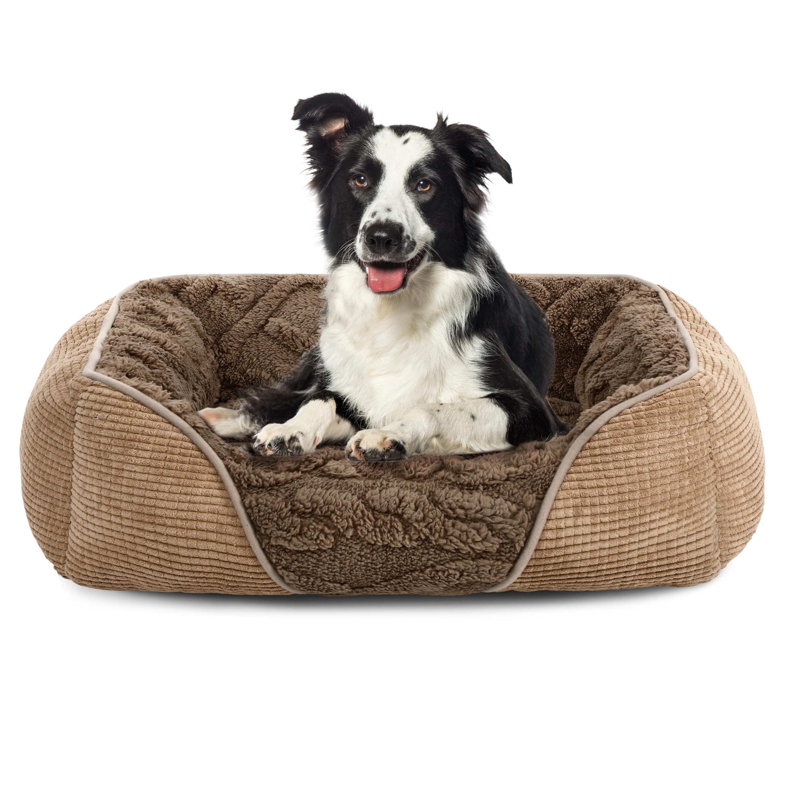 Heymamba Dog Bed Medium Washable, Medium Small Dog Beds with Sides Fill 1.3kg Thickened Fiber PP Cotton to Support All Bones