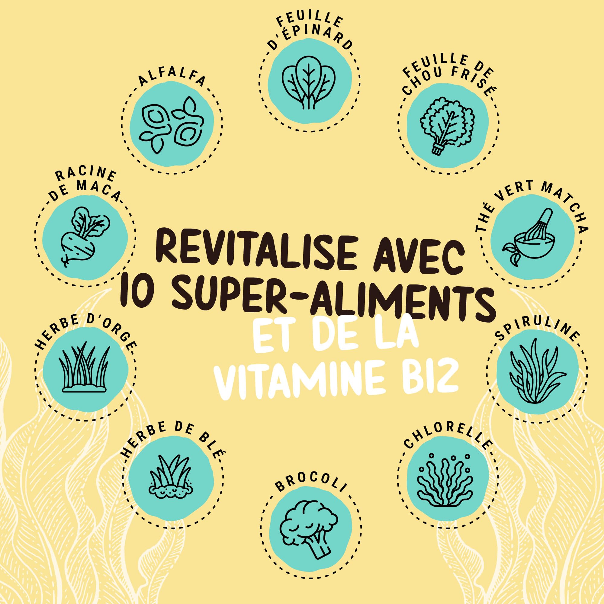 Powerstar PROTEINE VÉGÉTALE 500 g | Vegan protein powder sans soja | Poudre de protéines multicomposants enrichie de 10 superaliments | Fabrication en Allemagne | Musculaire | Vanille