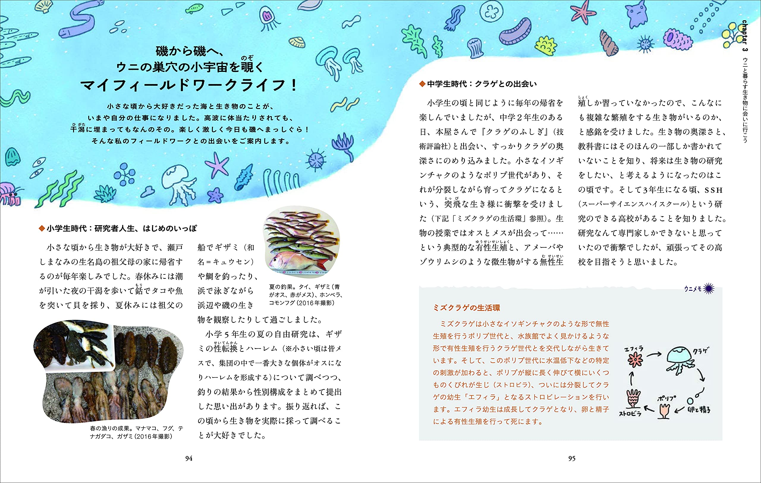 たくましくて美しい ウニと共生生物図鑑 Scarabe Books 山守 瑠奈 本 通販 Amazon
