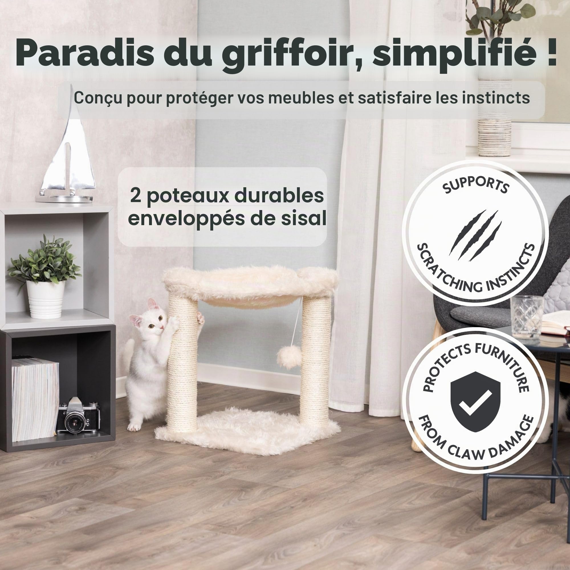 TRIXIE Arbre à chat compact Baza pour petits chats – Crème – 50 cm