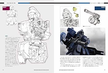 81lQD5ku-TL._AC_UF350,