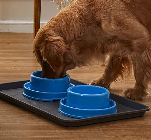 Miniatura 7 de PetLike Cuencos para perros Tazones de comida para mascotas, sin derrames, tazón de comida para gatos, alimentador de agua, platos para mascotas