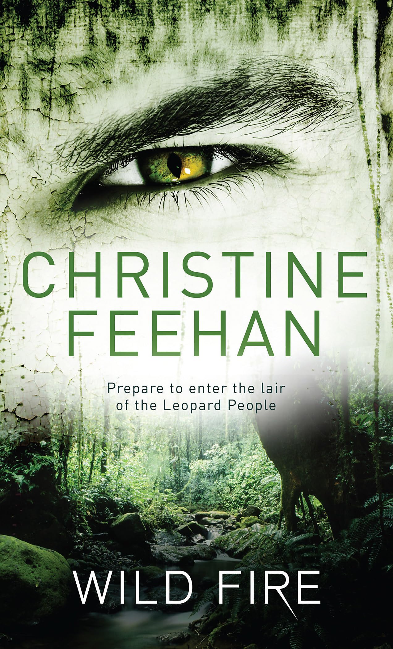 Wild Fire: Number 4 in series (Leopard People)