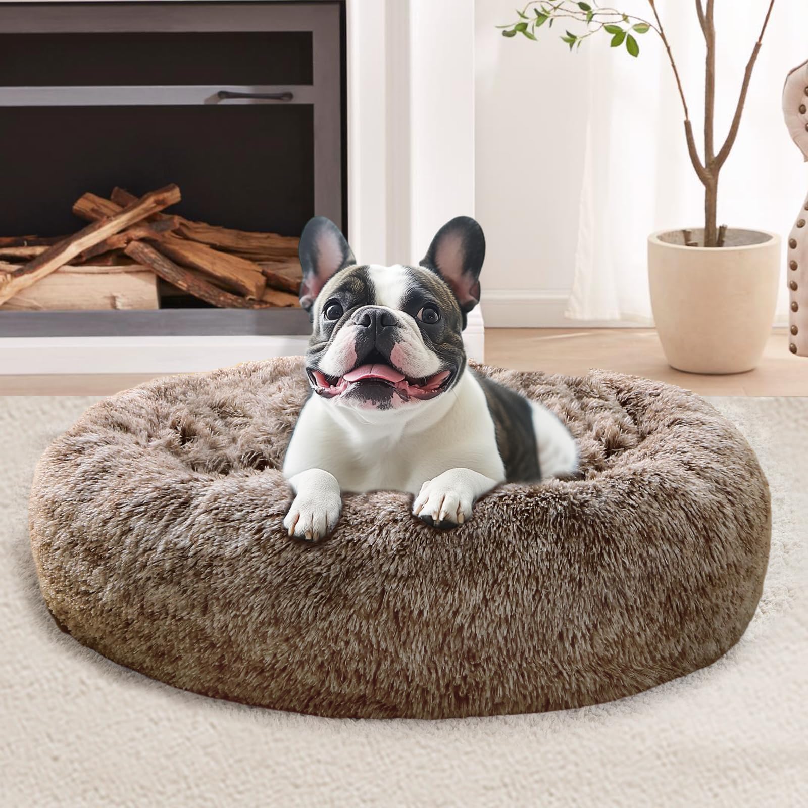 JOLLYVOGUE Calming Dog Bed for Small Dogs
