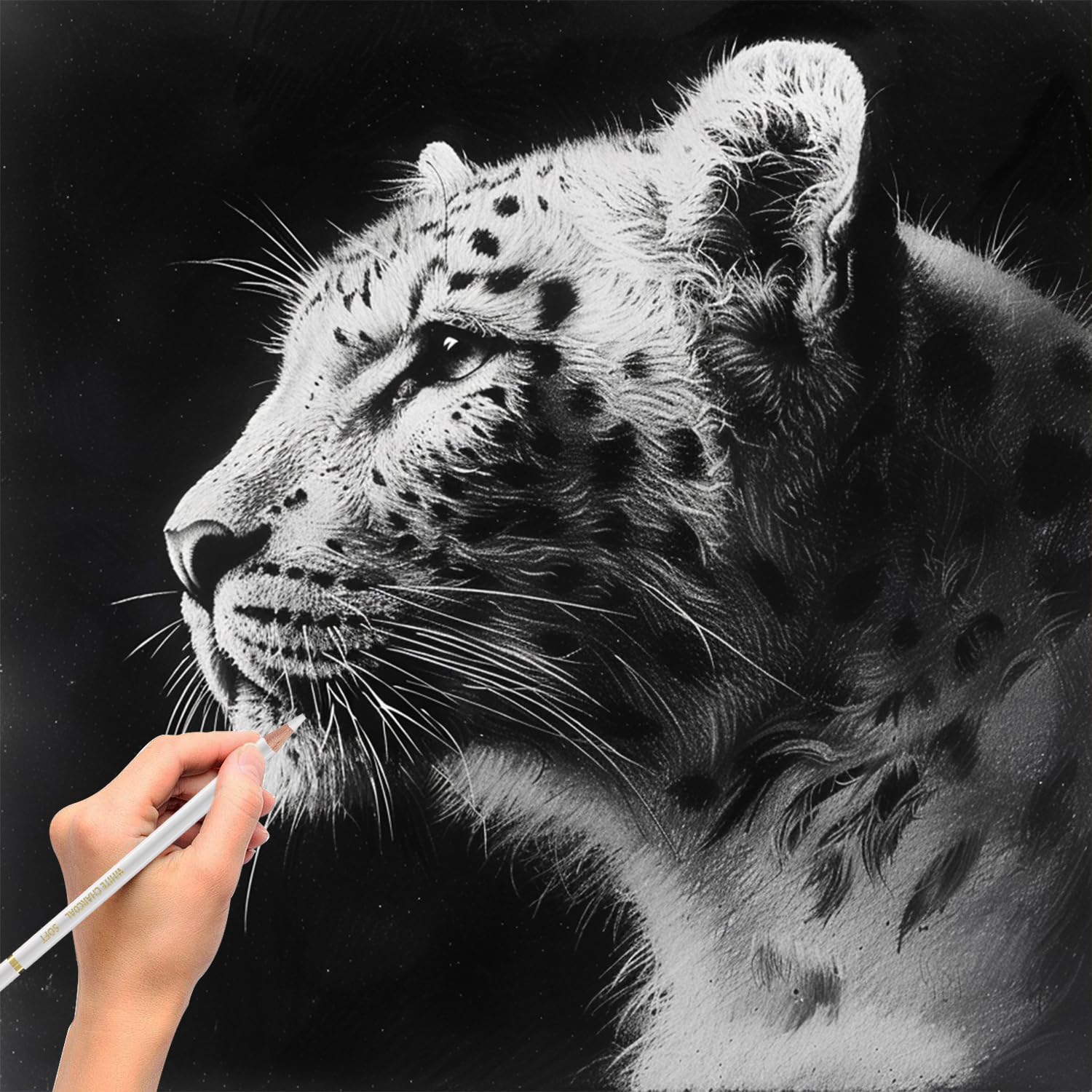 Aenir Lápices de carbón blanco, paquete de 12 lápices de dibujo de carbón, lápices de carbón para artistas, suministros de arte para dibujar y resaltar, lápices de carbón para dibujar, bocetos,