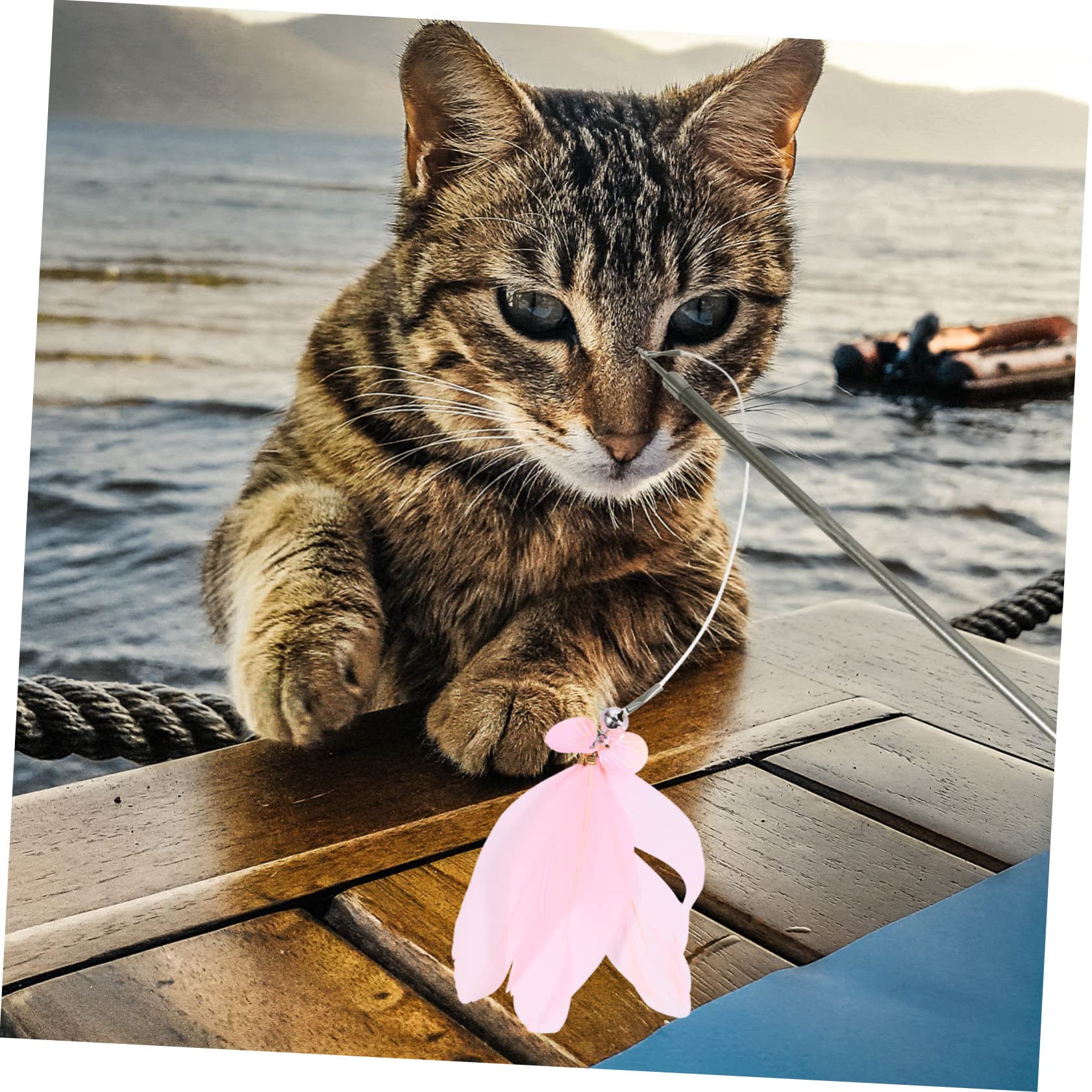 minkissy Lot De 3 Cannes À Pêche pour Chat avec 7 Réversibles pour Jeux D'intérieur (7 Pièces X 3)