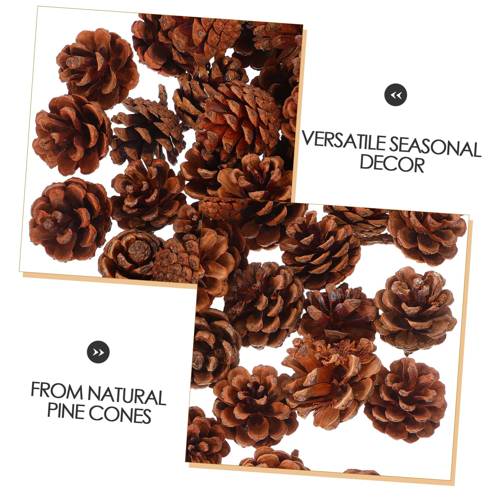 ERINGOGO 130 Pezzi Pigne Piccole Naturali per Decorazioni Natalizie e Autunnali, Riempitivo per Vaso in Pigne di Pino 3-4cm, Perfette per Decorazioni Fai da Te in Inverno e Ringraziamento