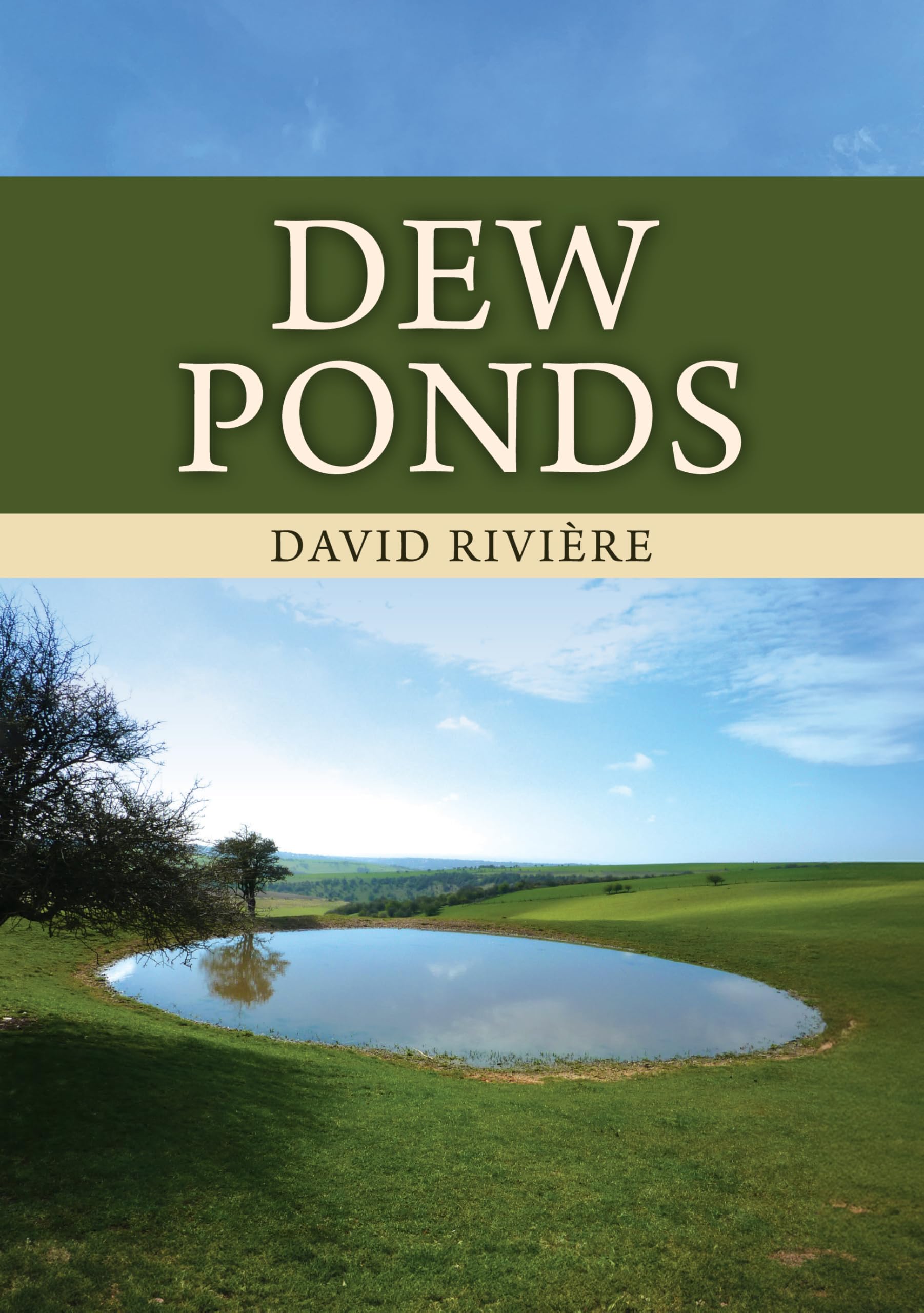 Dew Ponds by David Rivière (Paperback Book)