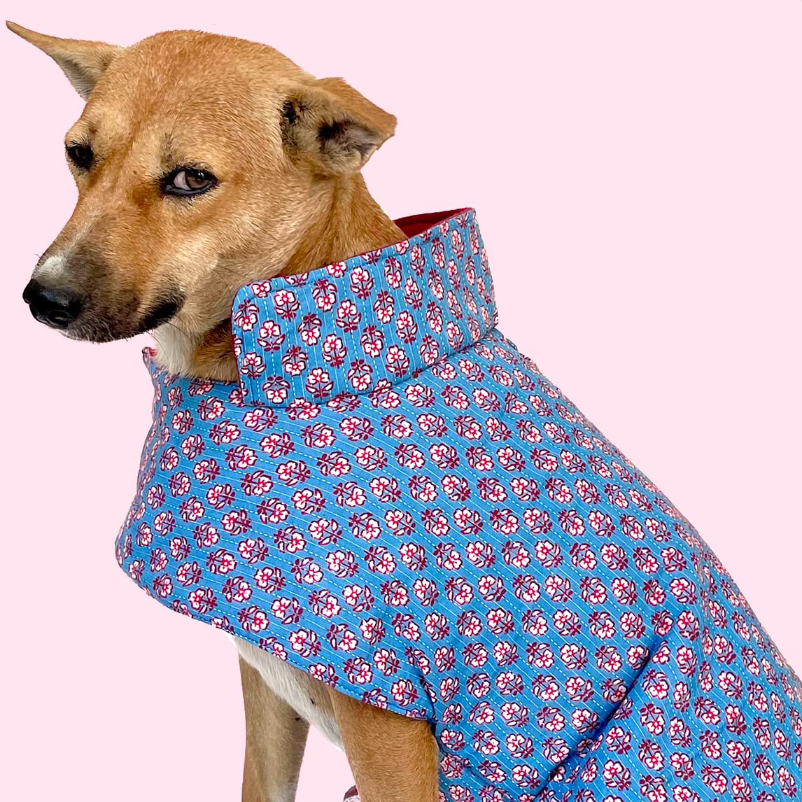 That Dog In Tuxedo Dog Winter Jacket - Floral Pattern Dog Coats Kantha Collection (Blue) (19) (B09PTZYDW1) Amazon Price History, Amazon Price Tracker