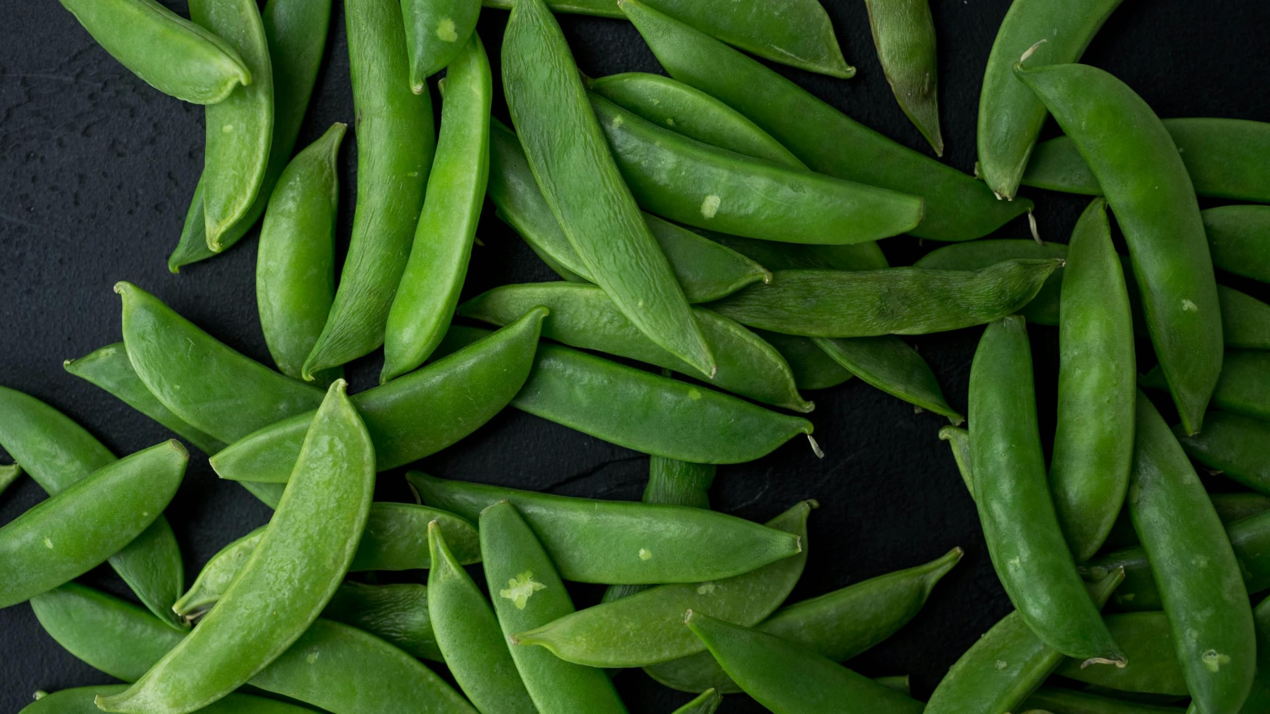 Sugar Snap Pea Plug Plants Grow Your Own Fruit from Our Premium Quality 'Ready to Plant Now' Young Vegetable Plants (12)