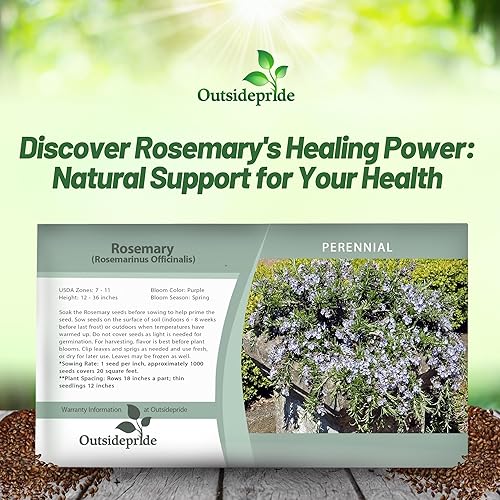 Miniatura 6 de Outsidepride Semillas de romero  2000 piezas. Cubierta perenne, tolerante a la sequía, semillas de hierbas fáciles de cultivar para plantar, atrae