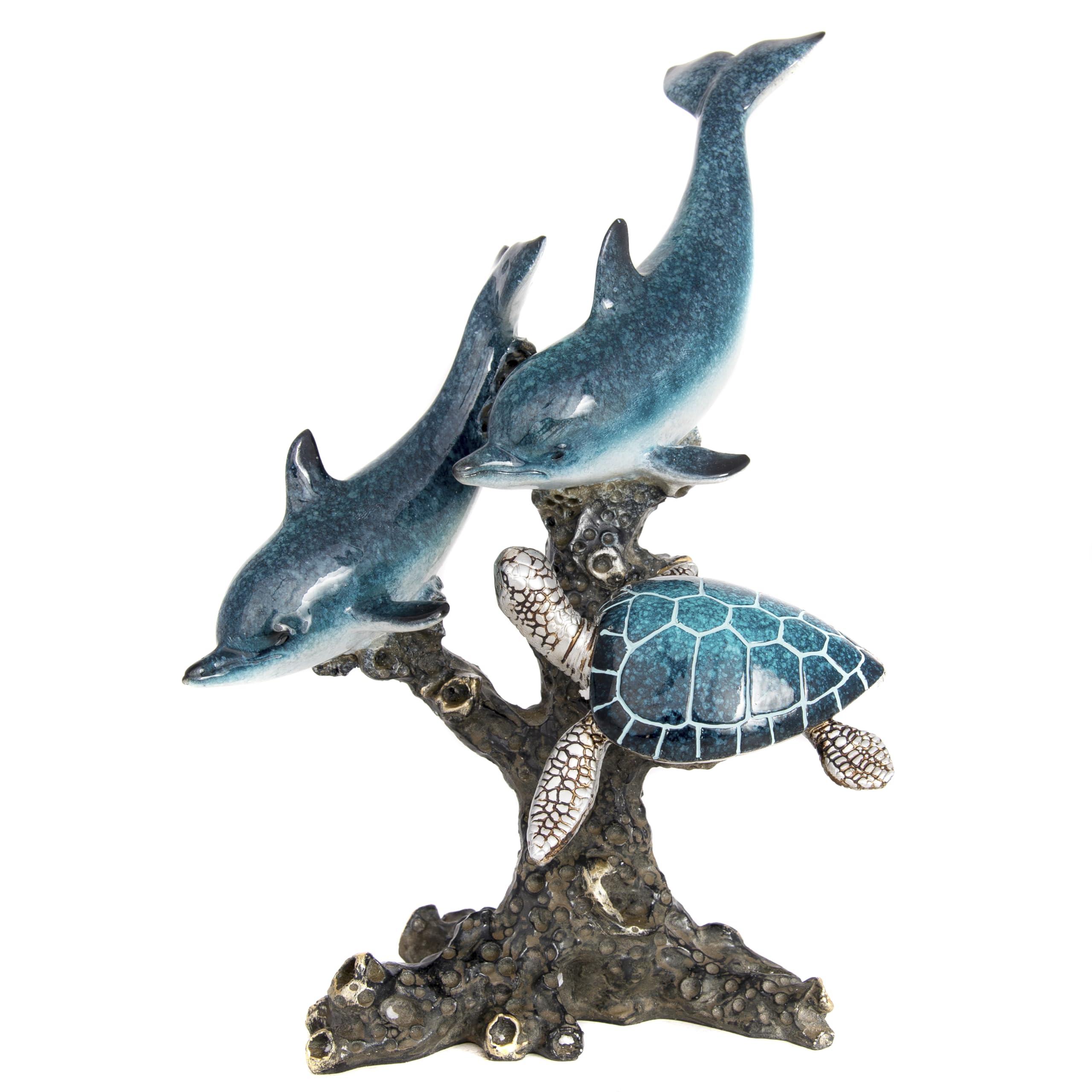 Amazon.com: Dolphins and Sea Turtle Swimming on Coral Reef