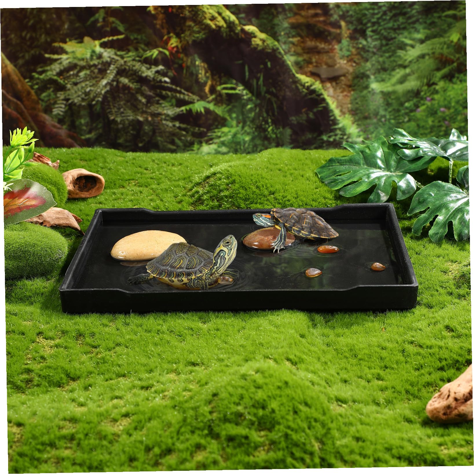 BESPORTBLE Plato De Alimentación para Cuenco De Comida para Reptiles Plato para Comida Y Agua De Lagarto Accesorios para Reptiles 5 Uds.