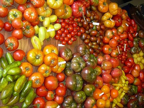 Miniatura 3 de Semillas de tomate Caleidoscopio Mix (de pequeño a gigante) Vegetales tradicionales para plantar sin OMG