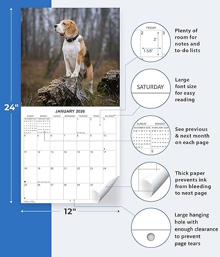 Miniatura 3 de Calendario mensual de pared de pastores alemanes 2024, 12 x 24 pulgadas, papel grueso y resistente, calendario para perros