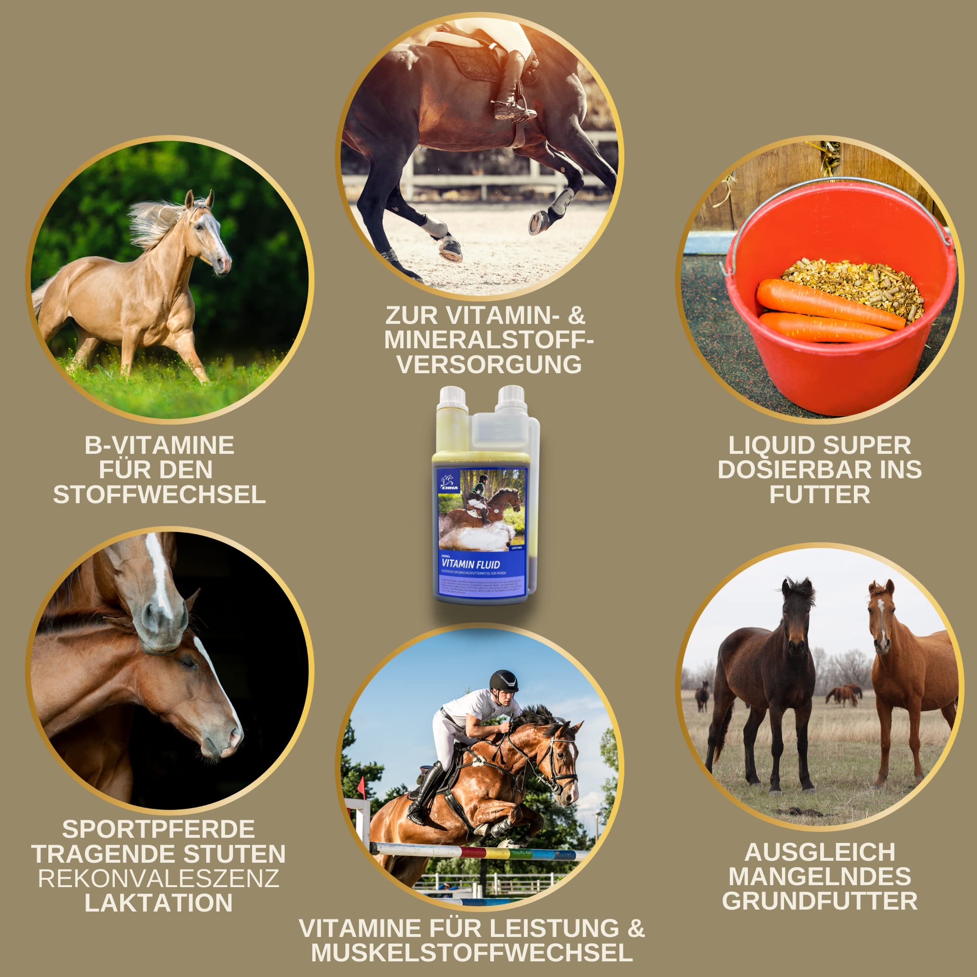 Vitamine per cavalli + aminoacidi per cavalli - mangime minerale, vitamine del gruppo B I vitamina E I complesso vitaminico b12 selenio zinco, vitamina b1 b6 rafforzare il sistema immunitario 1L30ml