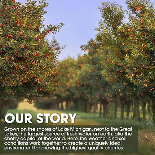 Miniatura 6 de Jugo concentrado de cereza de huerto paquete de 232onzas total 64 onzas