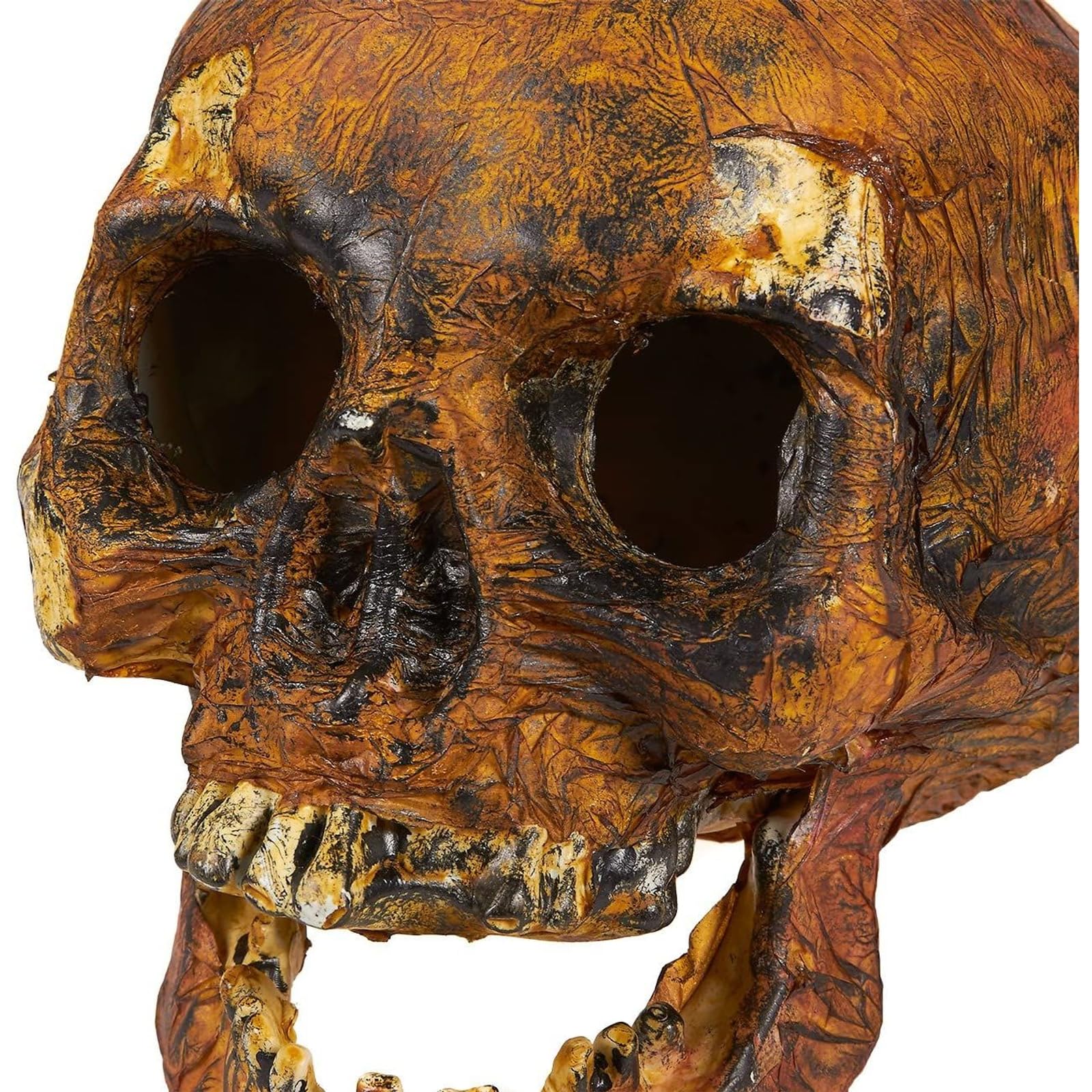 Blue Panda Plastic Skull for Halloween, Rotting Fake Skeleton Head
