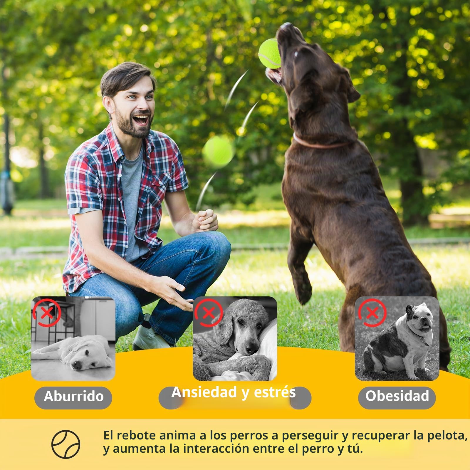 12 Piezas Pelotas de Tenis para Perros, 5 cm Pelota de Tenis, Pelotas de Juego para Perro Pequeños, Pelotas de Juguete Interactivas para Perros Aptas para Lanzador de Pelotas para Perro
