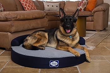 Amazon | Sealy Zen プレミアムラウンド犬用ベッド Lサイズ