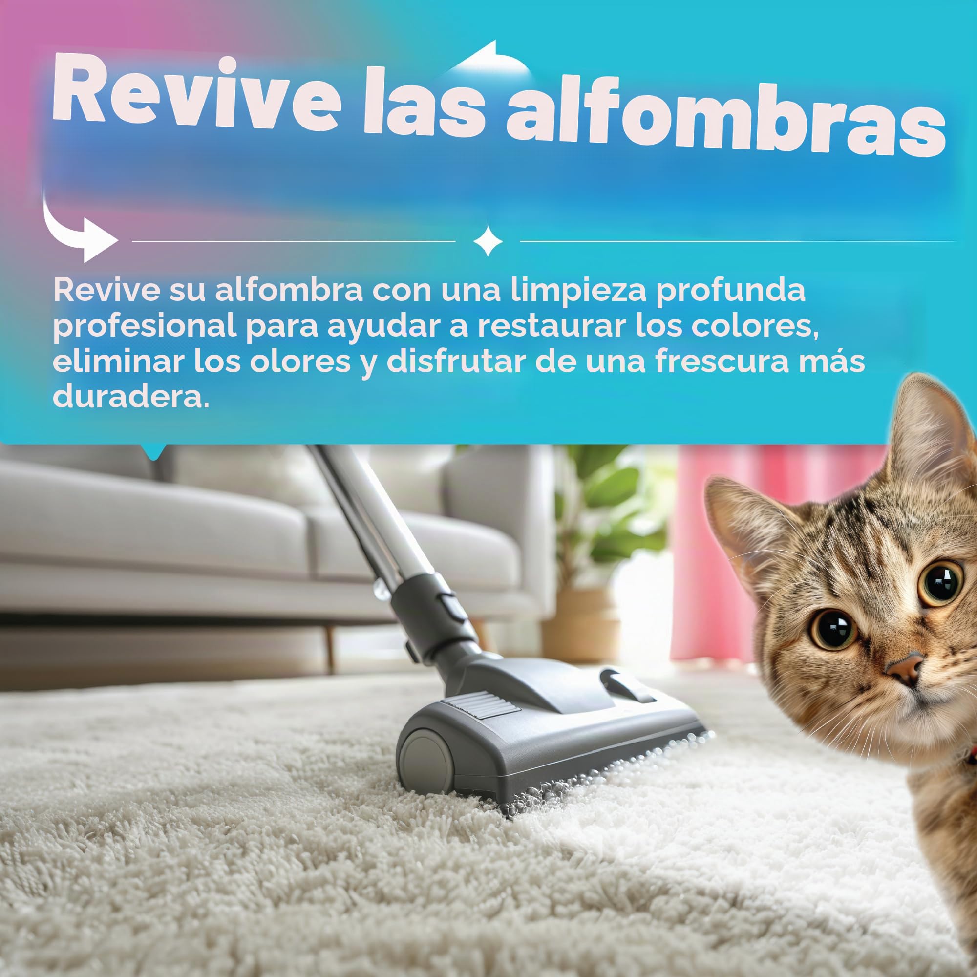 Dirtbusters Pet Pro - Solución de champú limpiador de alfombras, removedor de manchas de limpieza profunda con neutralizador de olores para eliminar la orina de perros y gatos, solución limpiadora de