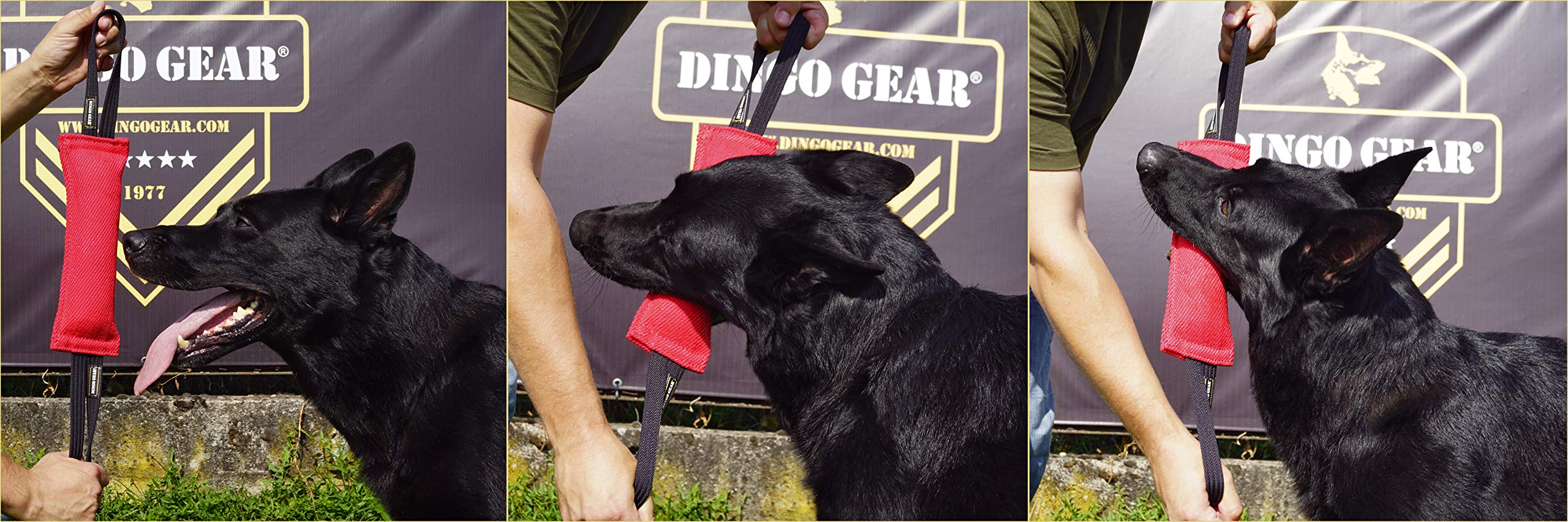 Dingo Gear - Remolque de Nailon para Entrenamiento de Perros IGP IPO Schutzhund para búsqueda ciega de presas para Obtener recompensa, Hecho a Mano de Material francés